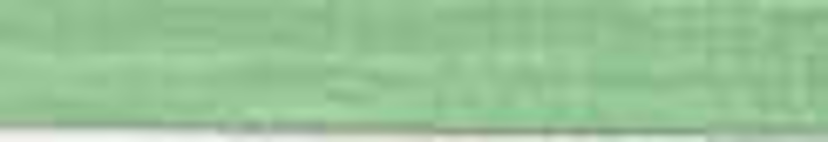 YLI018lightferngreen.jpg
