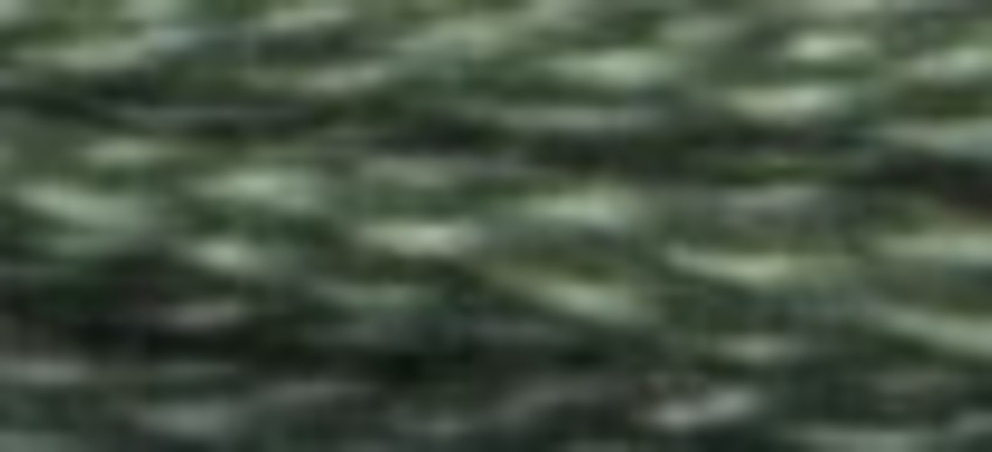 ccspinach.jpg