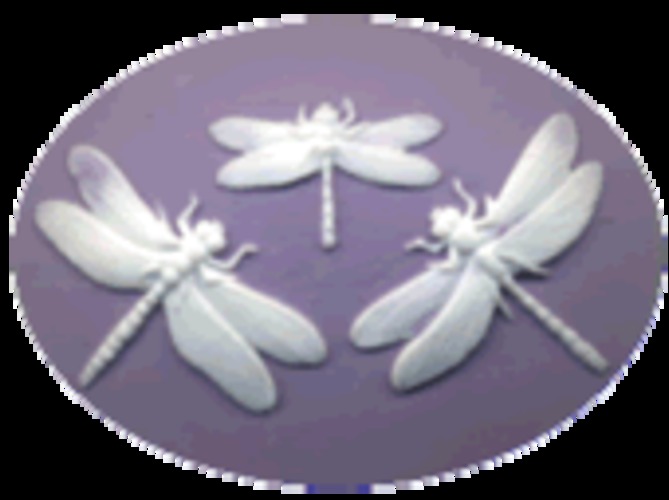 kelmscottmillerdragonfly.jpg
