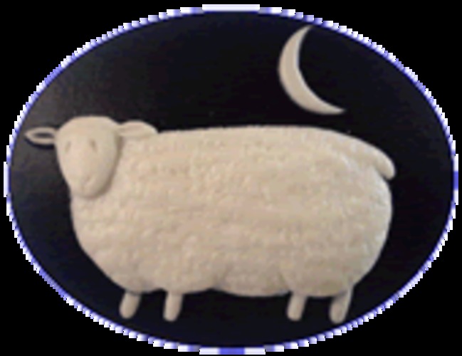 sheepatnightneedleminder.jpg