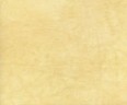 New Castle 40 ct Hand Dyed Butter Cream 18