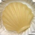 100% Pure Beeswax Shell Shape