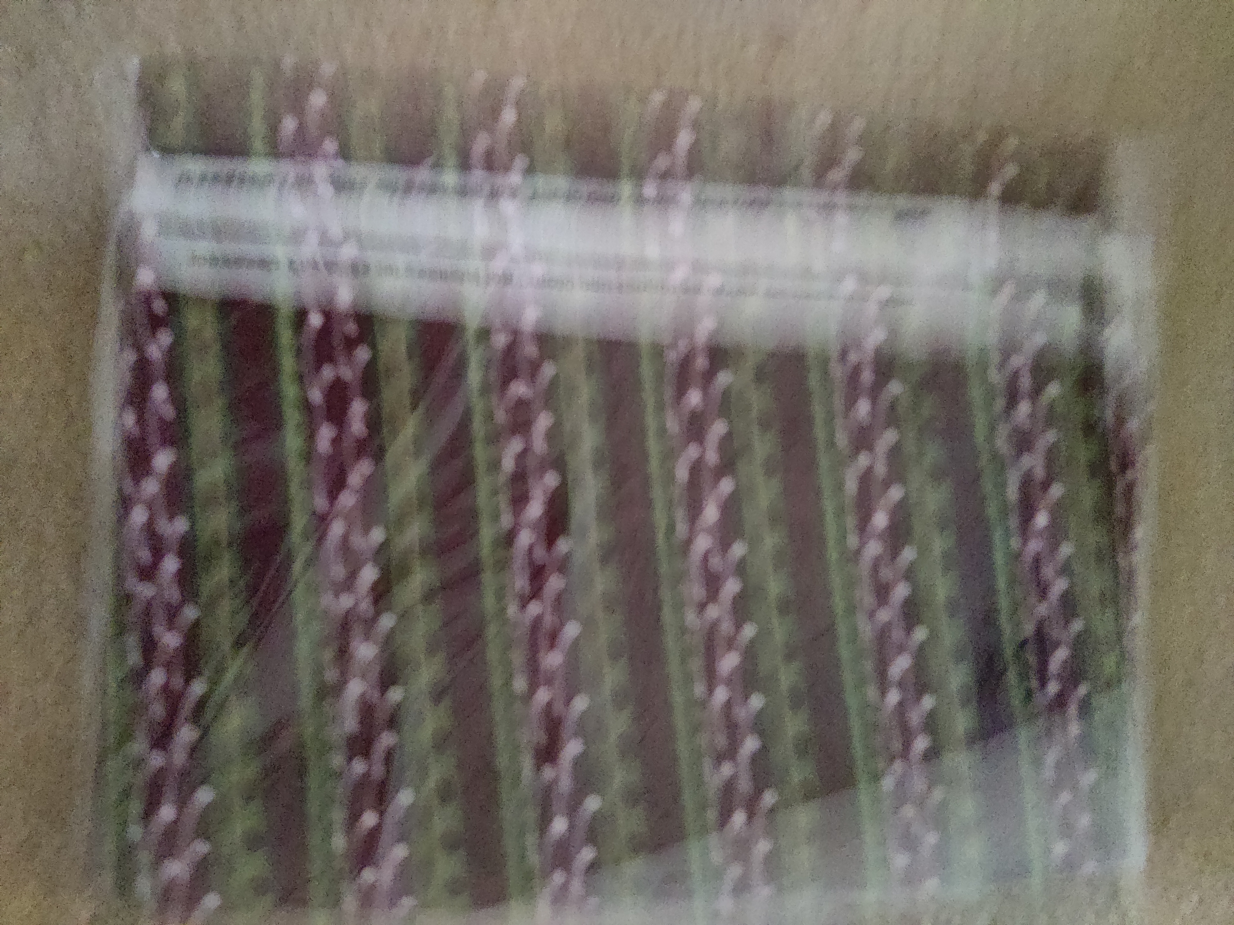 Quilting Fabric R 36