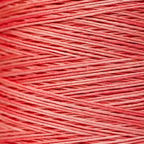 WDW 2249 Sockeye