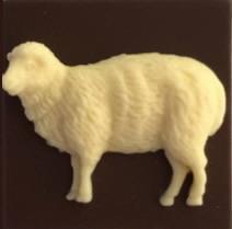 Sheep needle minder Kelmscott