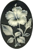 Kelmscott Hibiscus on Black Needle Minder