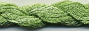 DD Silk Spearmint 155