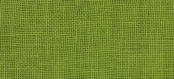 Weeks Dye Works 32 ct Chartreuse Linen 17