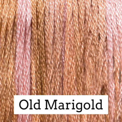 750_Old_Marigold.jpg