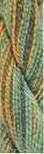 caron139kelp.jpg