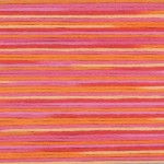 Hand Embroidery Floss - Cosmo Seasons Variegated #8008