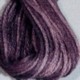 valdani6strand086ripenedplum.jpg