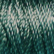 valdanipearlsilks209scedar.jpg